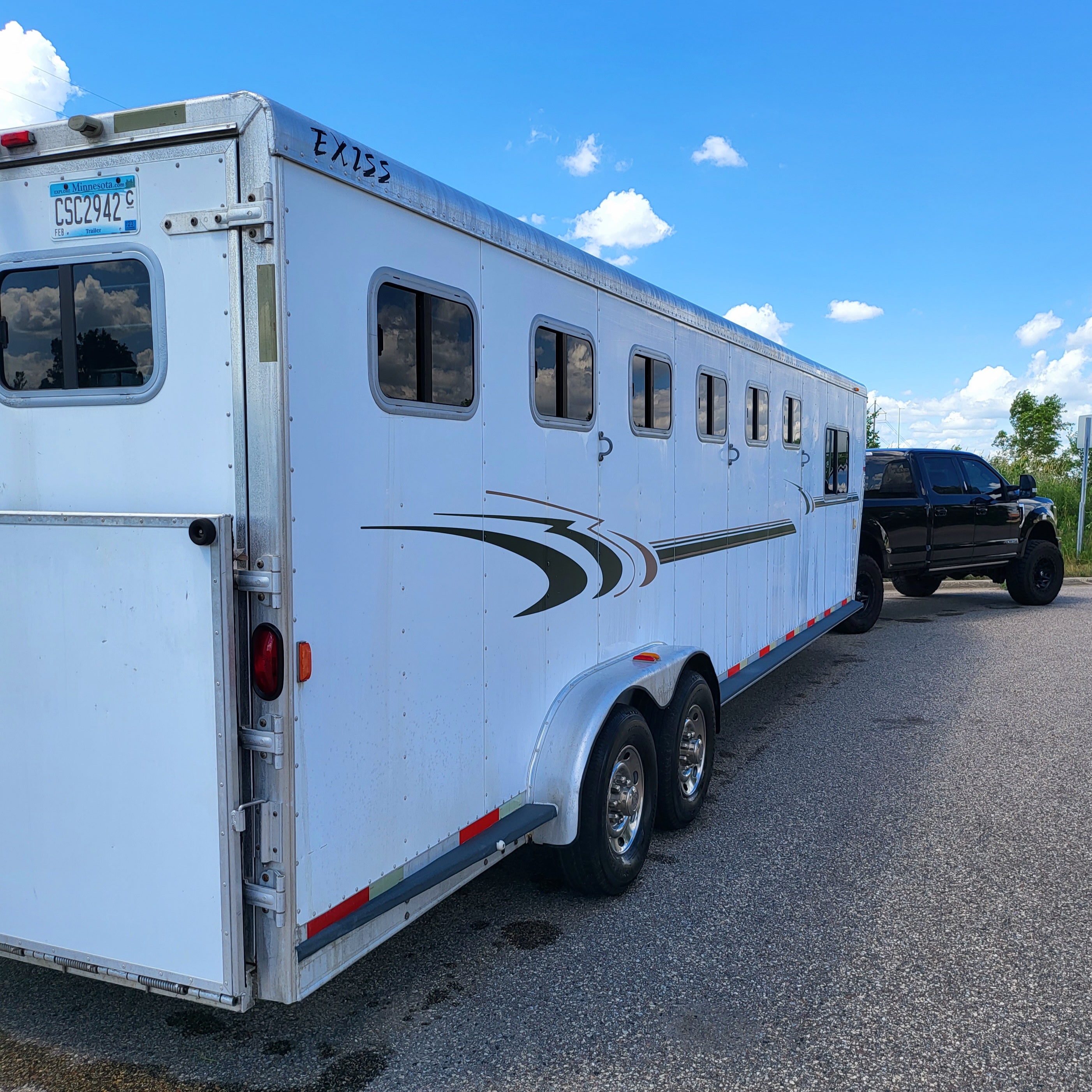 Exiss SS600 horse trailer side profile with decorative striping